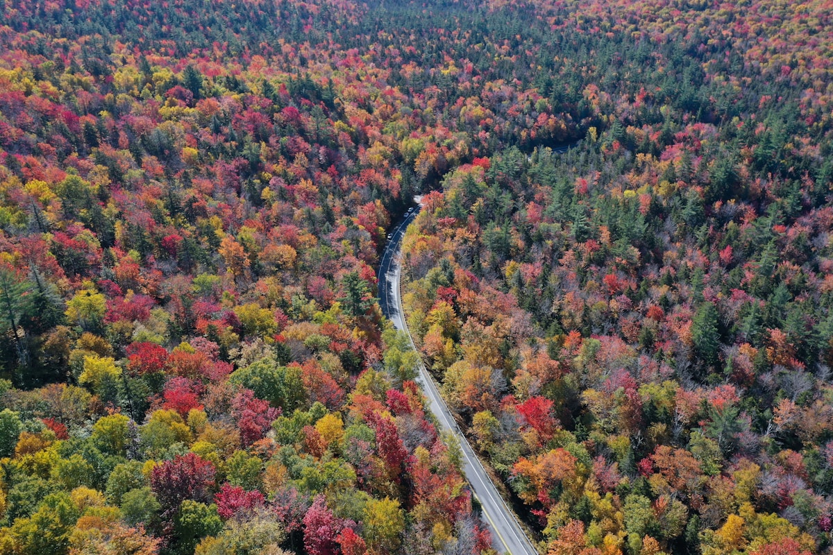 New Hampshire fall foliage mountains — sell your mortgage note in New Hampshire